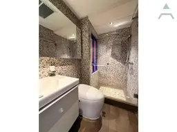 Vista 21