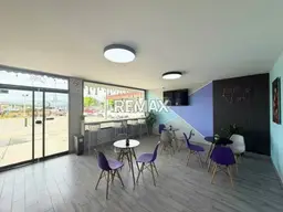 Vista 4