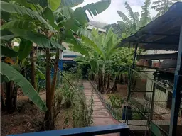 View 17