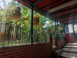 View 55