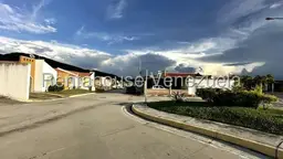 View 41
