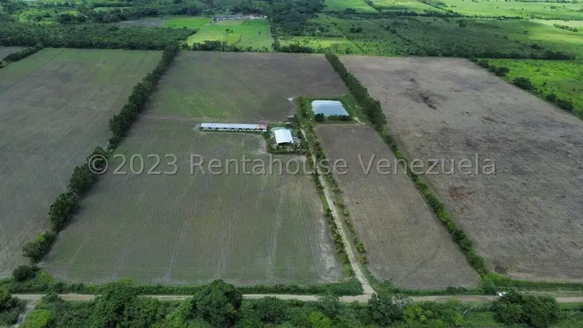 Terreno (Finca) en Venta en Municipio Peña, Yaracuy