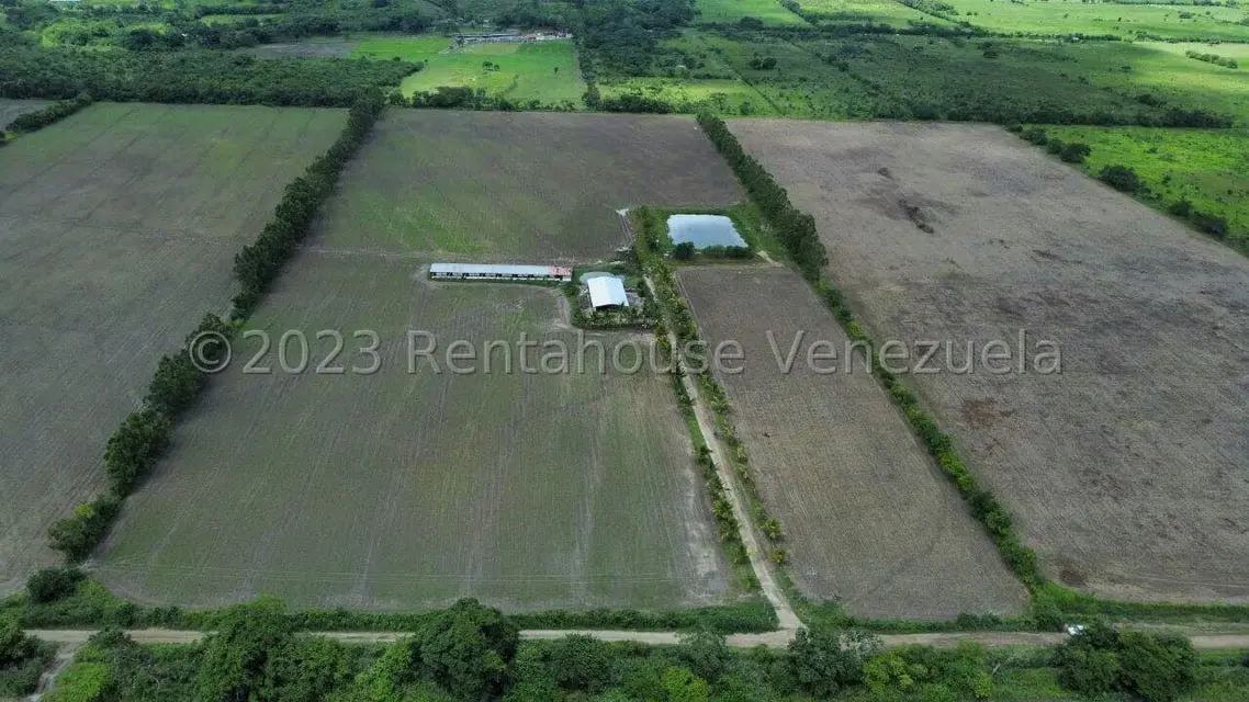 Terreno (Finca) en Venta en Municipio Peña, Yaracuy