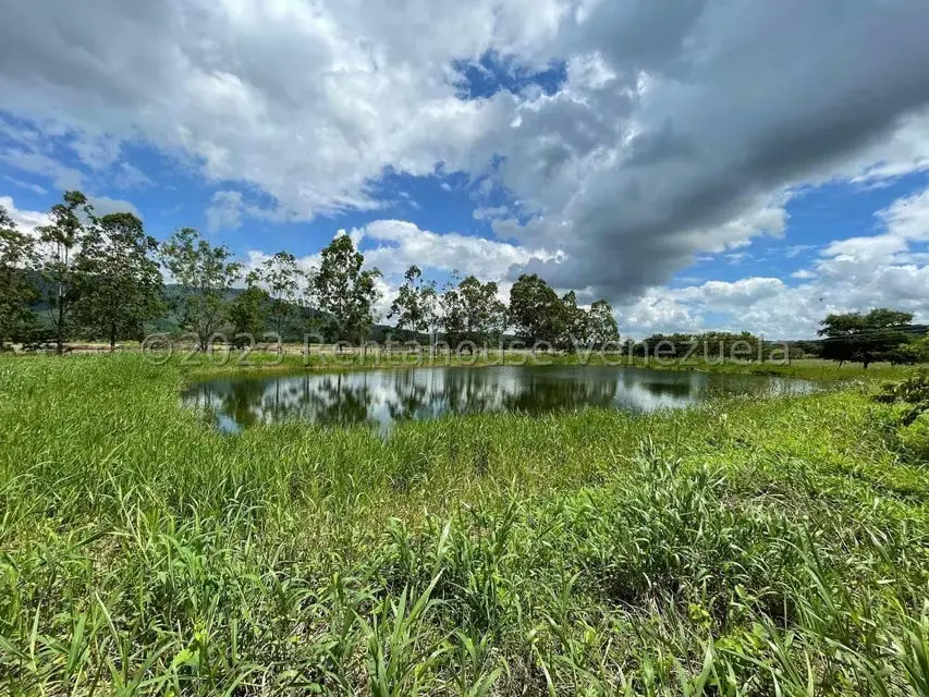 Terreno (Finca) en Venta en Municipio Peña, Yaracuy - 11