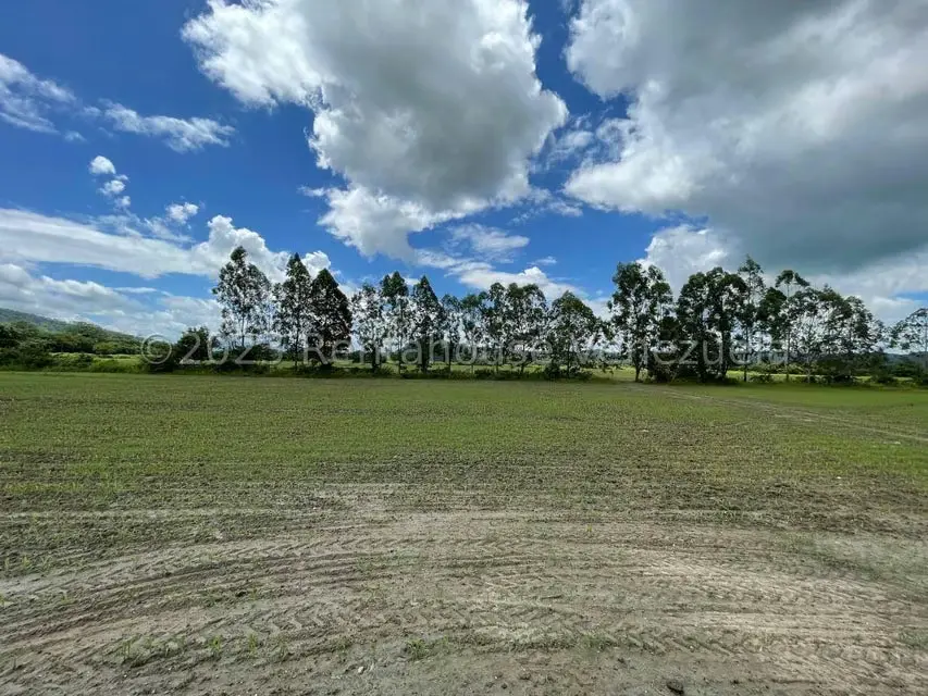 Terreno (Finca) en Venta en Municipio Peña, Yaracuy - 12