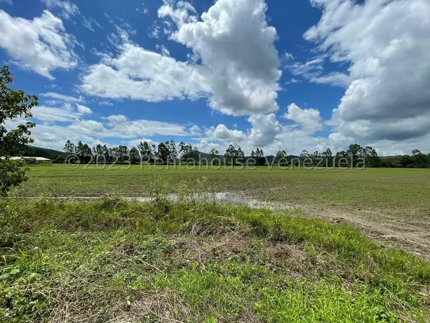 Terreno (Finca) en Venta en Municipio Peña, Yaracuy - 13