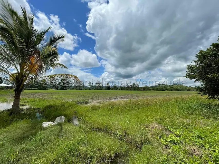 Terreno (Finca) en Venta en Municipio Peña, Yaracuy - 14