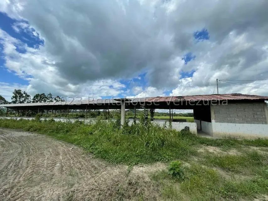 Terreno (Finca) en Venta en Municipio Peña, Yaracuy - 15