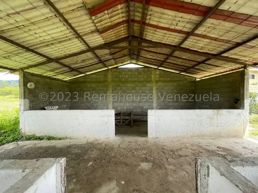 Terreno (Finca) en Venta en Municipio Peña, Yaracuy - 17