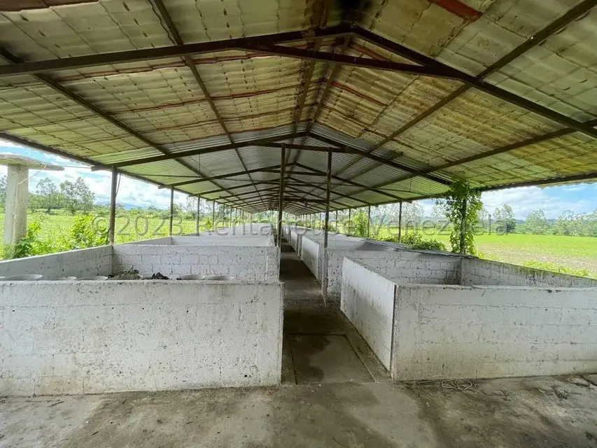 Terreno (Finca) en Venta en Municipio Peña, Yaracuy - 18