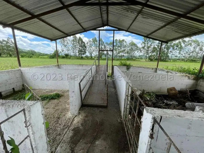 Terreno (Finca) en Venta en Municipio Peña, Yaracuy - 21