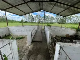 Vista 21