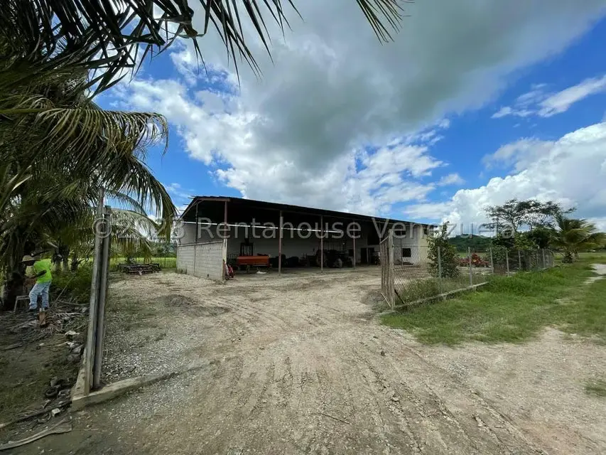 Terreno (Finca) en Venta en Municipio Peña, Yaracuy - 22