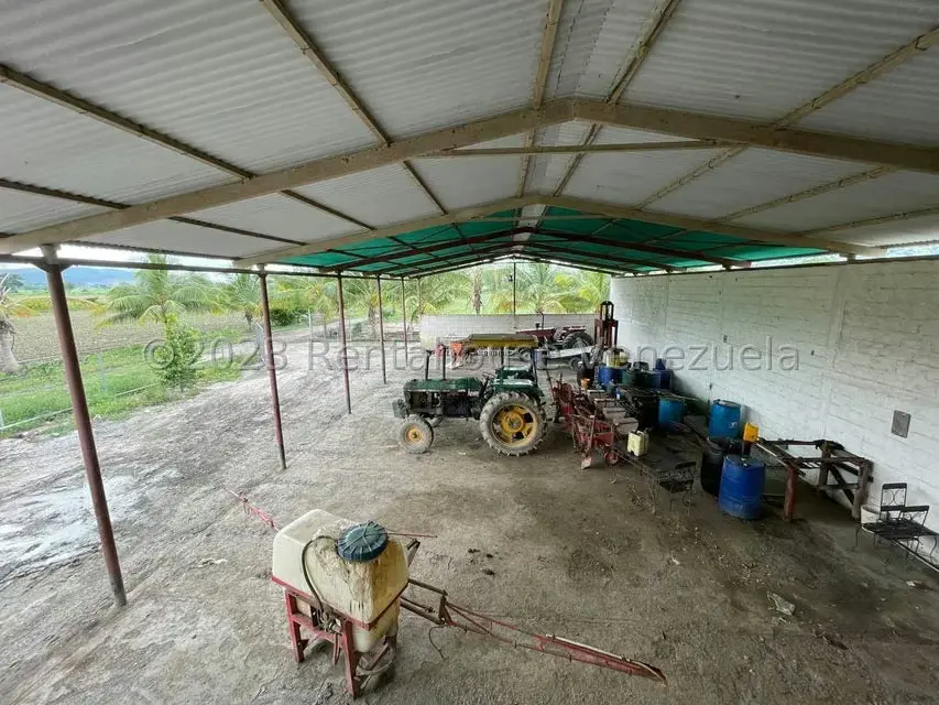 Terreno (Finca) en Venta en Municipio Peña, Yaracuy - 26