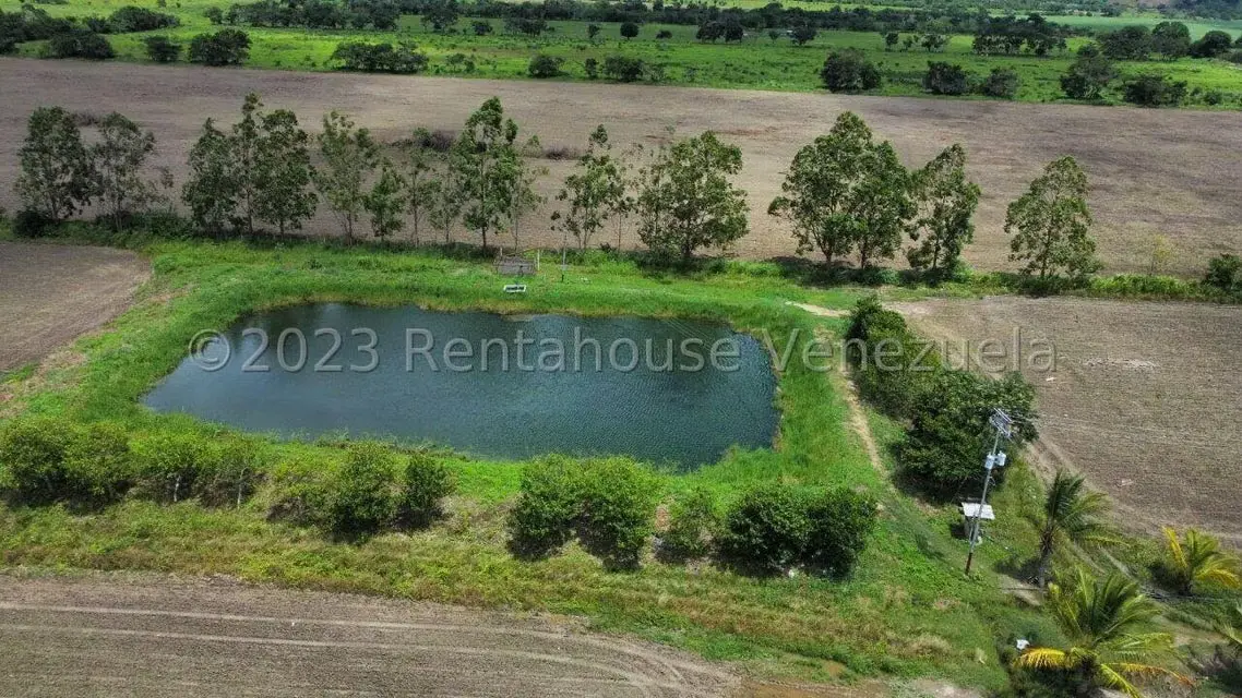 Terreno (Finca) en Venta en Municipio Peña, Yaracuy - 3