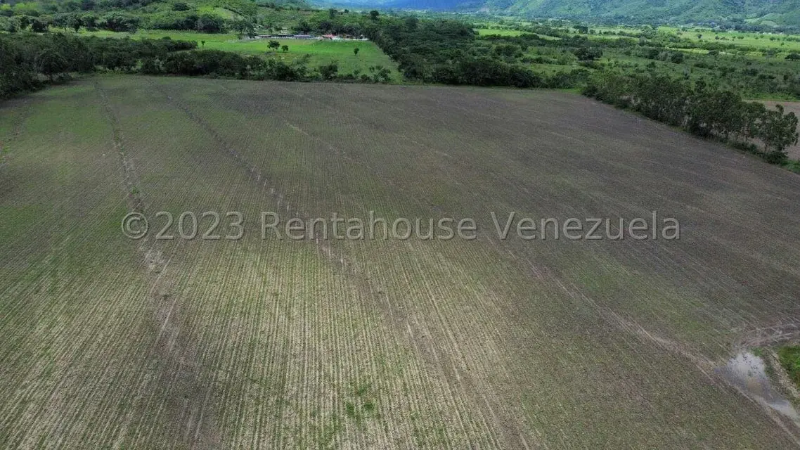 Terreno (Finca) en Venta en Municipio Peña, Yaracuy - 33