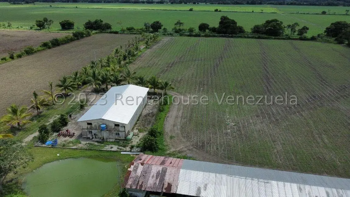 Terreno (Finca) en Venta en Municipio Peña, Yaracuy - 4