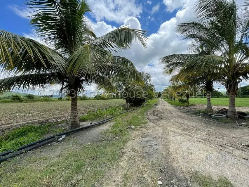 Terreno (Finca) en Venta en Municipio Peña, Yaracuy - 5