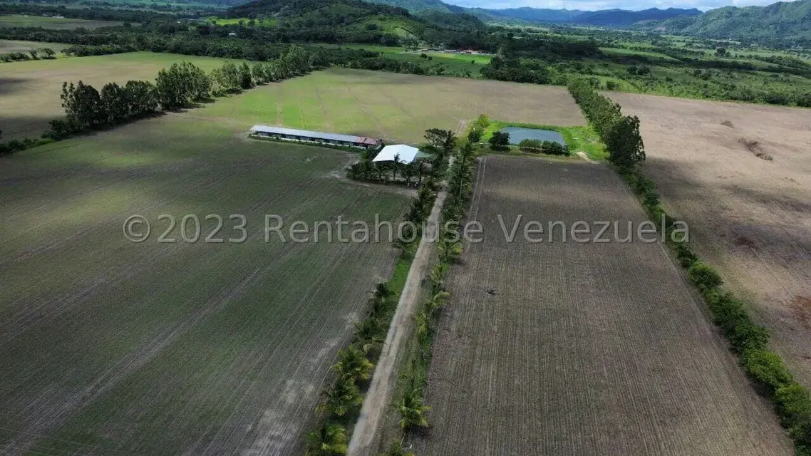 Terreno (Finca) en Venta en Municipio Peña, Yaracuy - 6