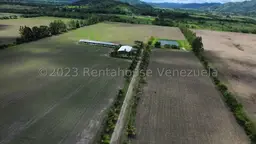 Vista 6