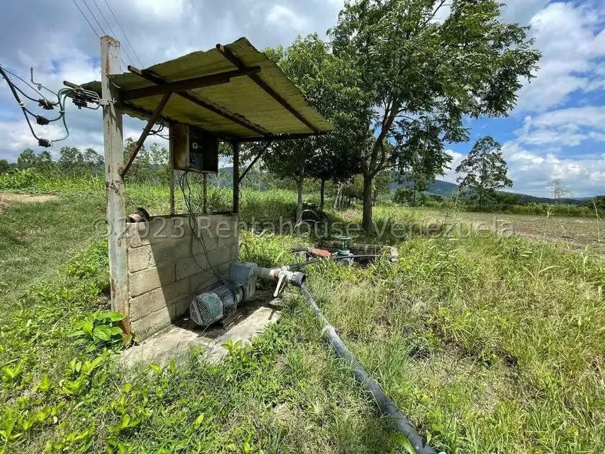 Terreno (Finca) en Venta en Municipio Peña, Yaracuy - 7