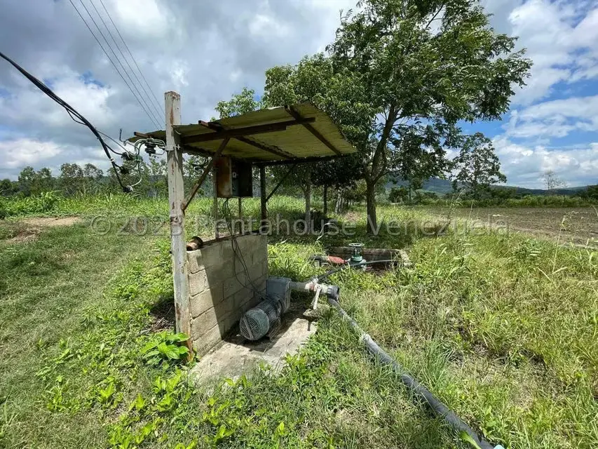 Terreno (Finca) en Venta en Municipio Peña, Yaracuy - 8