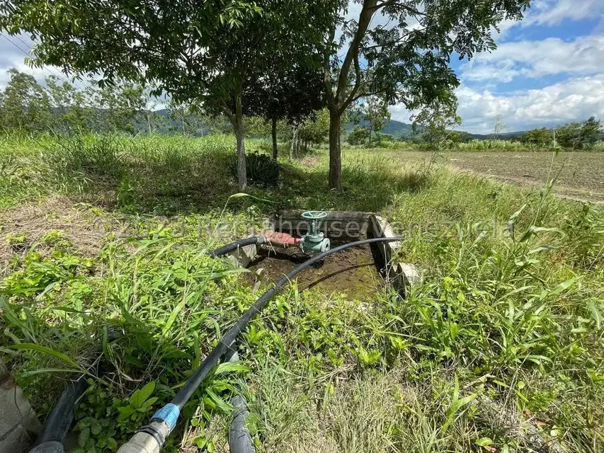 Terreno (Finca) en Venta en Municipio Peña, Yaracuy - 9