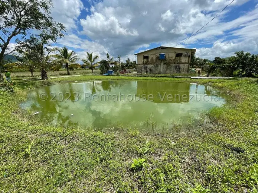 Terreno (Finca) en Venta en Municipio Peña, Yaracuy - 10