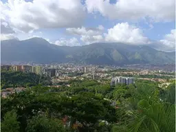 View 15