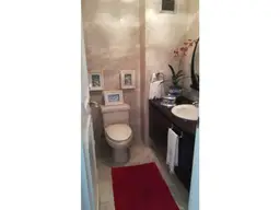 Vista 20