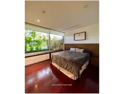 Vista 19