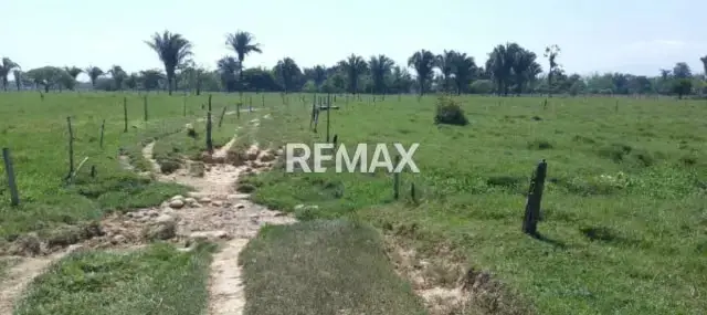 Hermosa Parcela en la Recta Ayari