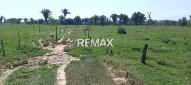 Hermosa Parcela en la Recta Ayari