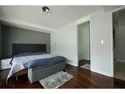 Vista 20