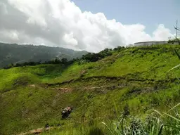 Vista 1