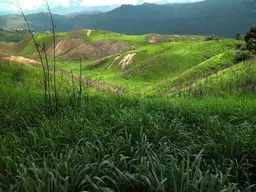 Vista 11