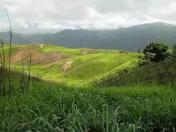 Vista 12
