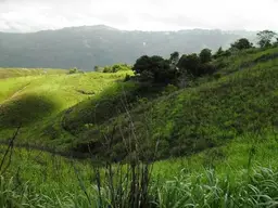 Vista 14
