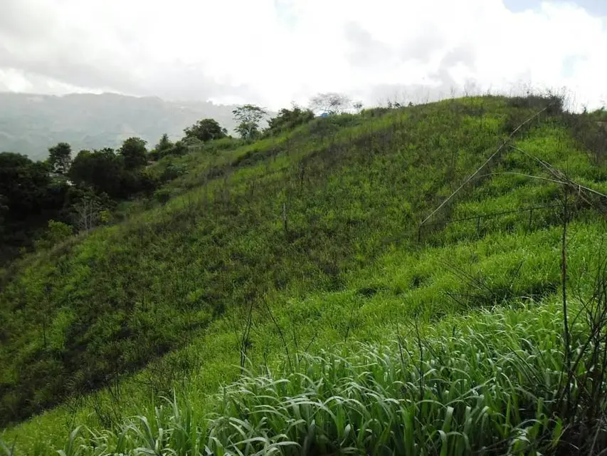 Terreno (Residencial) en Venta en El Hatillo, Distrito Metropolitano - 15