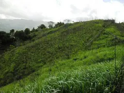 Vista 15