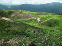Vista 17