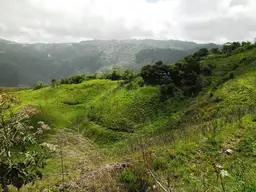 Vista 19