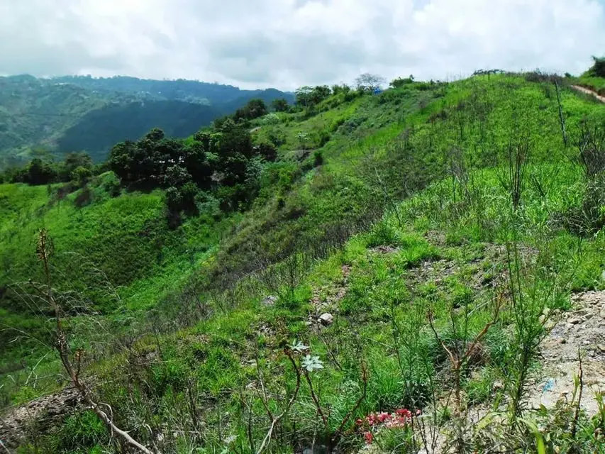 Terreno (Residencial) en Venta en El Hatillo, Distrito Metropolitano - 22