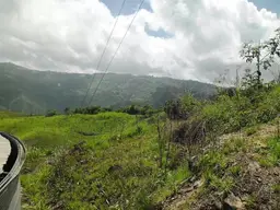 Vista 24