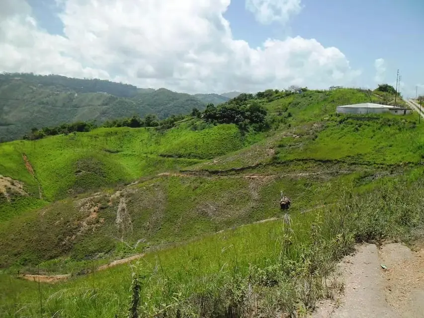 Terreno (Residencial) en Venta en El Hatillo, Distrito Metropolitano - 25