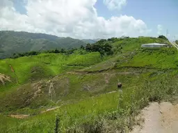 Vista 25