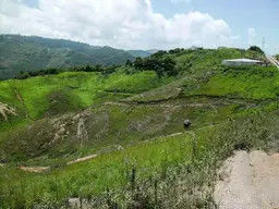 Vista 26