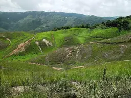Vista 27