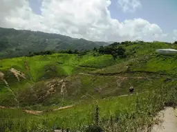 Vista 28