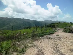 Vista 29